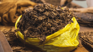 sušené tabakové listy v mikroténovom vrecúšku tabak