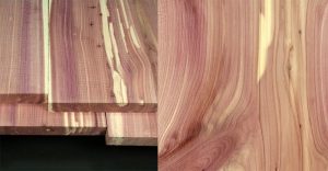 Cédrové drevo - detail