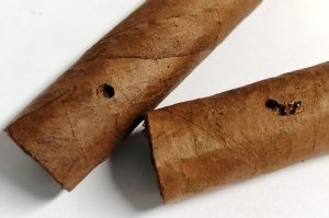 Cigary prederavené larvami