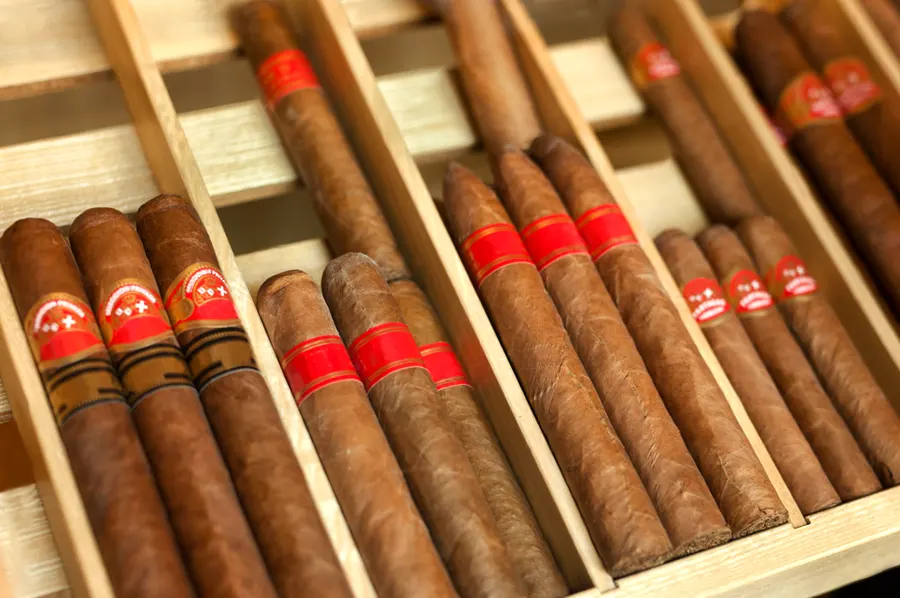 Cigary úhľadne poskladané v humidore