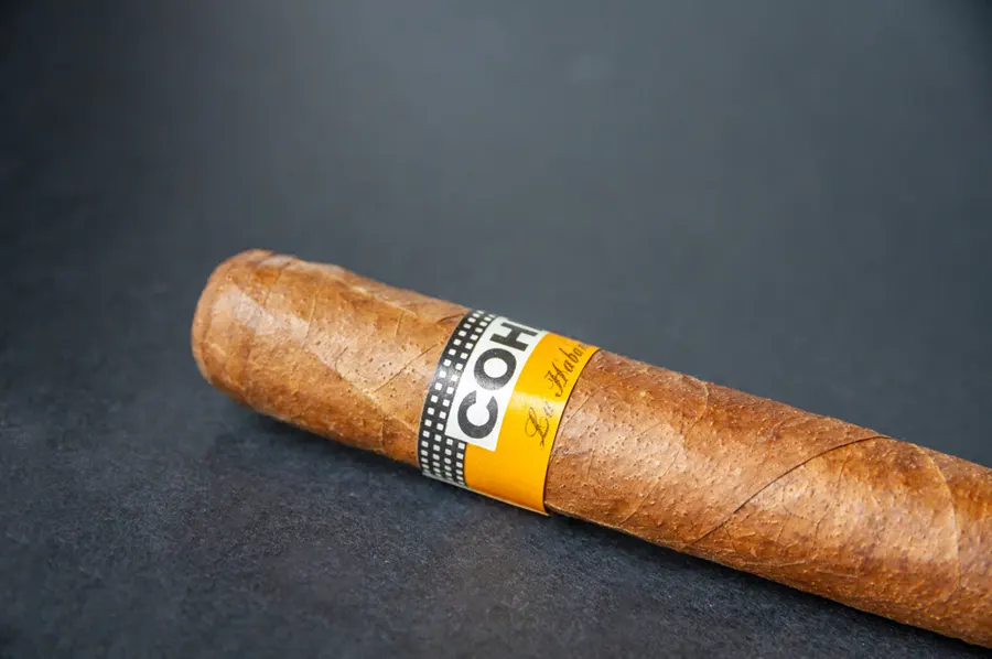 Jedna cigara značky Cohiba na šedom pozadí - detail