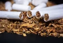 Detail balených cigariet na kôpke tabaku na tmavom pozadí